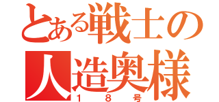 とある戦士の人造奥様（１８号）