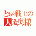 とある戦士の人造奥様（１８号）