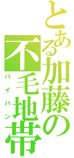 とある加藤の不毛地帯（パイパン）