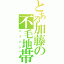 とある加藤の不毛地帯（パイパン）