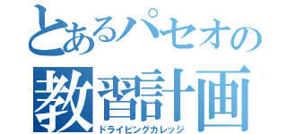 とあるパセオの教習計画（ドライビングカレッジ）