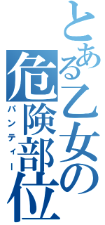 とある乙女の危険部位（パンティー）