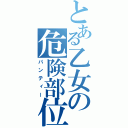 とある乙女の危険部位（パンティー）