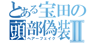 とある宝田の頭部偽装Ⅱ（ヘアーフェイク）