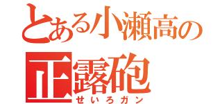 とある小瀬高の正露砲（せいろガン）