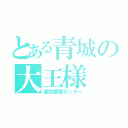 とある青城の大王様（超攻撃型セッター）