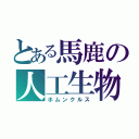 とある馬鹿の人工生物（ホムンクルス）