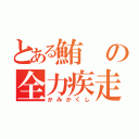 とある鮪の全力疾走（かみかくし）