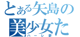 とある矢島の美少女たち（ハーレ夢）