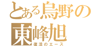 とある烏野の東峰旭（復活のエース）