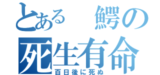 とある　鰐の死生有命（百日後に死ぬ）