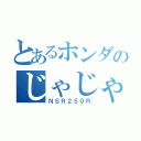 とあるホンダのじゃじゃ馬（ＮＳＲ２５０Ｒ）