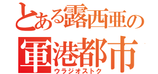 とある露西亜の軍港都市（ウラジオストク）