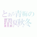 とある青梅の春夏秋冬（四季彩）