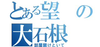 とある望の大石根（部屋開けといて）