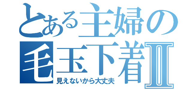 とある主婦の毛玉下着Ⅱ（見えないから大丈夫）