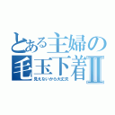 とある主婦の毛玉下着Ⅱ（見えないから大丈夫）