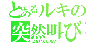 とあるルキの突然叫び（どないんした？！）