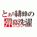 とある緋蜂の弾幕洗濯機（バレッタカーテン）