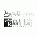 とある黒と白の宝島冒険（プロジェクト）