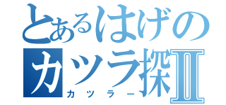 とあるはげのカツラ探しⅡ（カツラー）