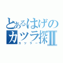 とあるはげのカツラ探しⅡ（カツラー）