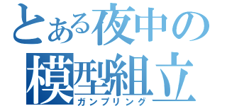 とある夜中の模型組立（ガンプリング）