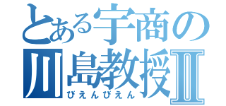 とある宇商の川島教授Ⅱ（びえんびえん）