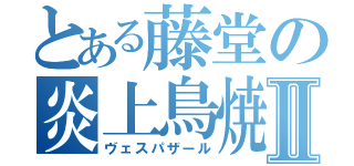 とある藤堂の炎上鳥焼Ⅱ（ヴェスパザール）