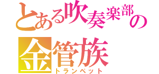 とある吹奏楽部の金管族（トランペット）