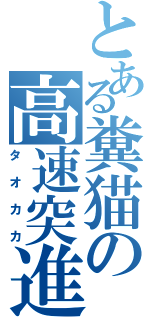 とある糞猫の高速突進（タオカカ）