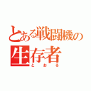 とある戦闘機の生存者（とおる）