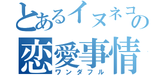 とあるイヌネコの恋愛事情（ワンダフル）