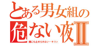 とある男女組の危ない夜Ⅱ（誰にも止められない…キリッ）