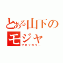 とある山下のモジャ（ブロッコリー）