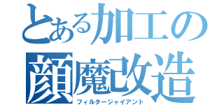 とある加工の顔魔改造（フィルタージャイアント）