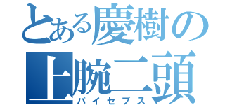 とある慶樹の上腕二頭筋（バイセプス）