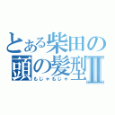 とある柴田の頭の髪型Ⅱ（もじゃもじゃ）