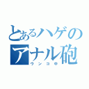 とあるハゲのアナル砲（ウンコ中）