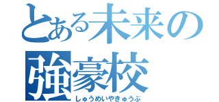 とある未来の強豪校（しゅうめいやきゅうぶ）