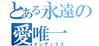 とある永遠の愛唯一（インデックス）