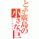 とある廣島の小さな巨人（なっちゃん）