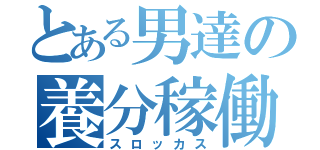 とある男達の養分稼働（スロッカス）