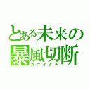 とある未来の暴風切断（カマイタチ）