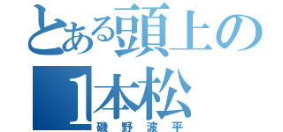 とある頭上の１本松（磯野波平）