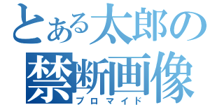 とある太郎の禁断画像（プロマイド）