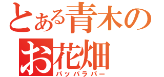 とある青木のお花畑（パッパラパー）