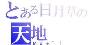 とある日月草の天地（Ｍｏｅ~！）