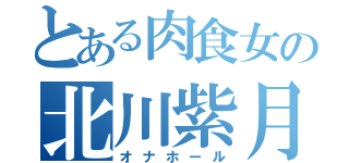 とある肉食女の北川紫月（オナホール）