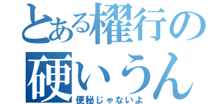 とある櫂行の硬いうんこ（便秘じゃないよ）